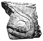Часть окаменевшей подошвы башмака из Невады, датируемой триасовым периодом. Возраст триасовых окаменелостей определяется в 213-248 миллионов лет. Штат Невад