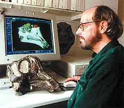 Все чаще открытия совершаются, когда ученые имеют дело не с костями животных, а с их компьютерными копиями. Так, американский палеонтолог Джек Хорнер видит на своем мониторе то, что недоступно простому практику, измеряющему череп рулеткой, а именно: головной мозг, органы зрения и обоняния гадрозавра.