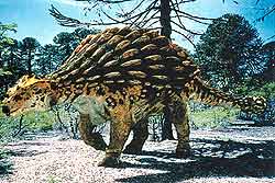 Голова и спина анкилозавра (вес — 7 тонн) защищены костяными пластинами. Хвост оканчивается (опять же) костяным набалдашником. Таким оружием этот ящер мог обратить в бегство даже врагов, превосходивших его размерами.
