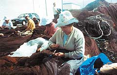Рыбацкие сети у берегов Пиренеев чинят до сих пор дедовскими методами