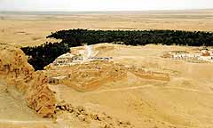 Оазис в Сахаре